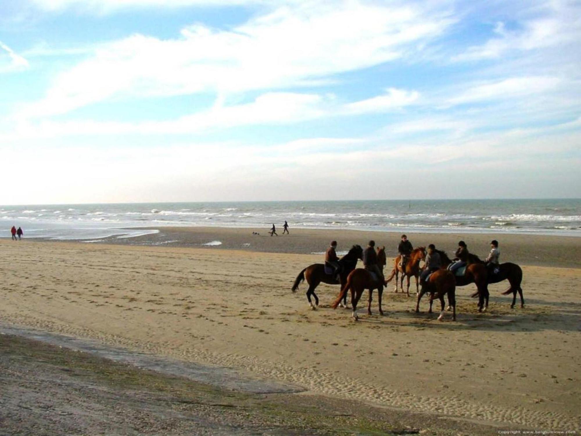 New Palace In Blankenberge